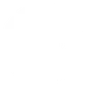Exito Logo